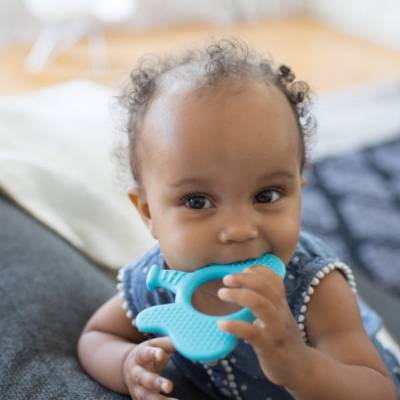 Picture of Dr. Brown's Flexees Friends Elephant Teether